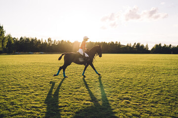 Mounted polo player in equipment riding horse on field