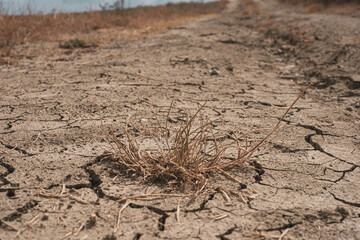 dry parched cracked earth, result of global warming, ecology