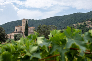 sant'antimo abbey in Tuscany, scenic typical Tuscan landscape with green cypress trees, beautiful...