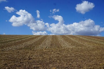 Braunes Ackerfeld vor blauem Himmel mit weißem Wolkengebilde bei Sonne am Mittag im Spätsommer