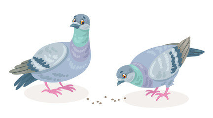 Two gray doves are pecking at grains. In cartoon style. Isolated on white background. Vector flat illustration.