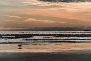 Sunsetting over the water