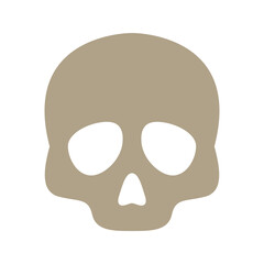 Skull isolated on white background