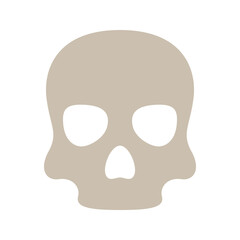 Skull isolated on white background