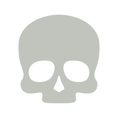 Skull isolated on white background