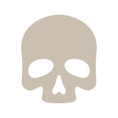 Skull isolated on white background