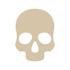 Skull isolated on white background