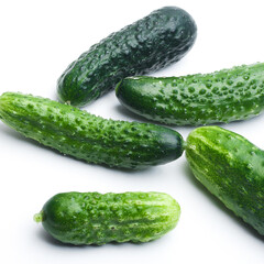 Ripe fresh green cucumber isolated on a white background