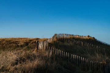 Dunes Fence