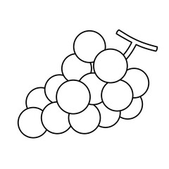 一房のぶどうの線画