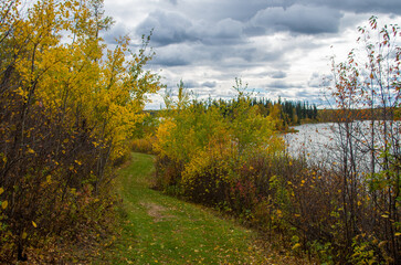 autumn landscape with river and forest