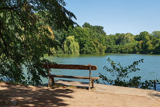Park bench on the bank of a pond on a summer sunny day with a clear blue sky. Nature of Ukraine