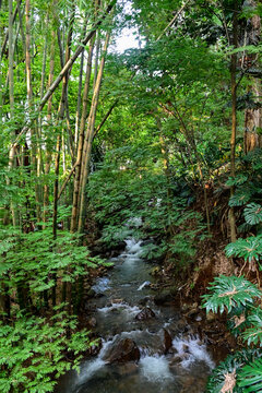 El Poblado ravine, Medellin,