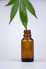 cannabis essential oil bottle and green leaf