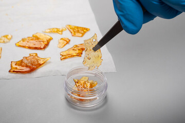 scientific study of cannabis terpenes, pure thc wax in hand