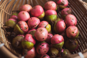 Fresh Kalangkala or Litsea Angulata Fruit