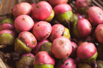 Fresh Kalangkala or Litsea Angulata Fruit