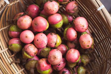 Fresh Kalangkala or Litsea Angulata Fruit