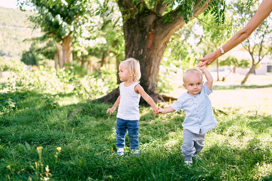 Little boy and girl stand under a tree in the garden holding hands. High quality photo