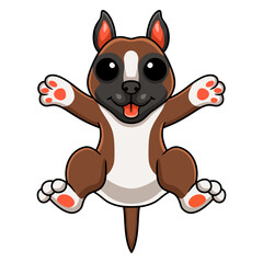 Cute little boxer dog cartoon posing