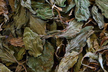 An abstract image of dried broadleaf plantain leaves in a heap. 