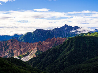 Obraz premium OLYMPUS DIGITAL CAMERA