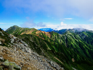 Fototapeta premium OLYMPUS DIGITAL CAMERA