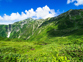 笠ヶ岳　杓子平　夏