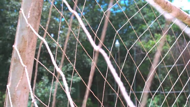 pelota ingresa a la porteria despu&eacute;s de un tiro libre