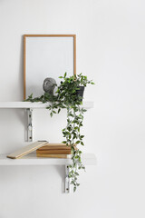 Shelves with books, frame and houseplant hanging on light wall