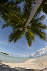 Pisar island at Truk lagoon in Chuuk state of Micronesia