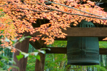 京都 秋の圓光寺の紅葉と鐘
