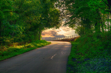 Country Road as Sunset  Not every country road will take you home, but this one will take you to an awesome scene, 