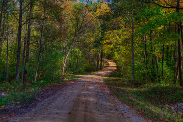 Naklejka premium A gravel road leading up a small hill with a slight curve at the end. 