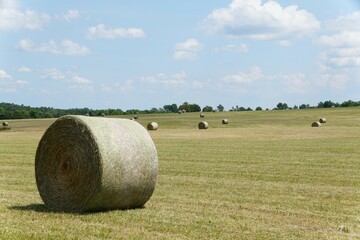 Bale of hay on the field in the summer near Arkansas, U.S.A