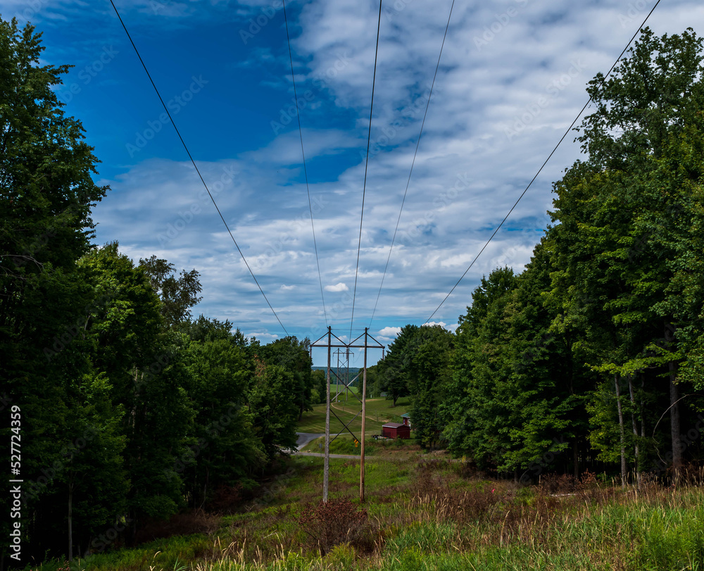 Wall mural powerlines through the woods on a strip of land in warren, pennsylvania, usa on a sunny summer day