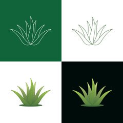  ilustrasi Aloe vera , desain logo Aloe vera , vector,line,simple,elegant,