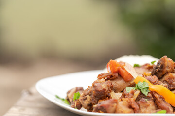 Dish of stew of guinea pig served with vegetables and rice