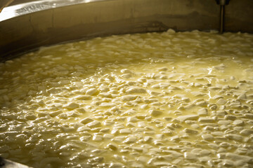 Process of producing different varieties of cheese in industry. Cheese-making from natural milk - 527731969