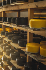 Cheeseheads with lie on the shelves of the storage for maturation. Production of European cheeses...