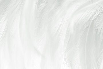 white gray feather wooly pattern texture background