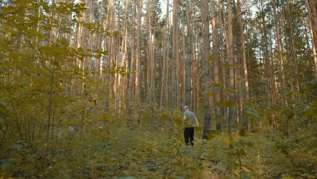 A man makes his way through the forest, pushing the branches of the bushes. Traveler walking through the thickets