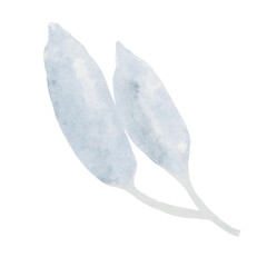 watercolor botanical Anthurium in blue shade isolated on transparency background