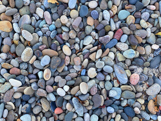 ocean shoreline pebble beach stone rock garden yard path walkway sea rocks