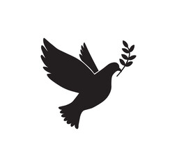 Vector flying dove with olive branch black silhouettes on white background.
