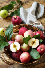Obraz na płótnie Canvas Organic fruits. Fall harvest background. Farmer's market. Basket of ripe apples on a rustic wooden table.