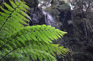 Remote hidden island Hachijo island in Tokyo, Japan