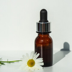 Essential oil in a glass bottle with chamomile flowers. The concept of a spa center. A bottle of fragrant chamomile flower oil with chamomile essential oil on a white background. Selective focus.