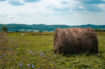 Hills landscape with hay bale