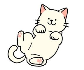 仰向けに寝転がっている白猫